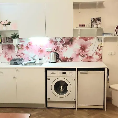 Spacious In The Historic Center * Praag